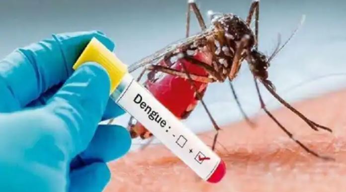 बढ़ेगी ठंड तो कमजोर होगा डेंगू का डंक, तापमान घटने से घटेगा संक्रमण- विशेषज्ञ
