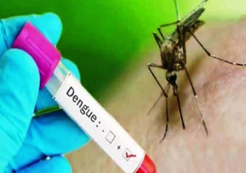 बरेली: डेंगू का पलटवार, जिला अस्पताल का वार्ड फिर फुल
