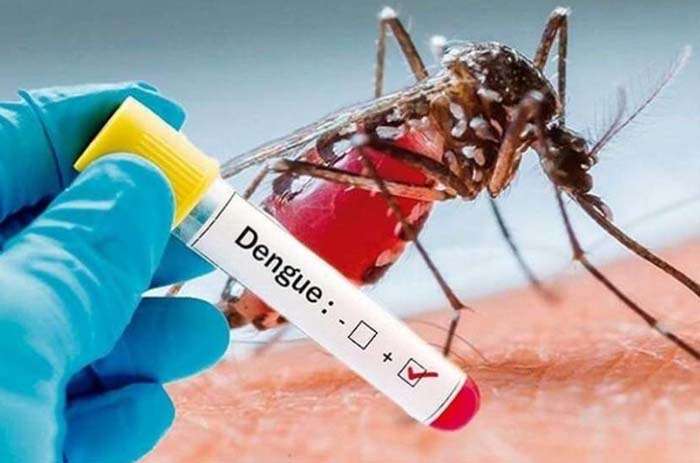 बरेली: दोहरे शतक के करीब डेंगू, व्यवस्थाएं धड़ाम