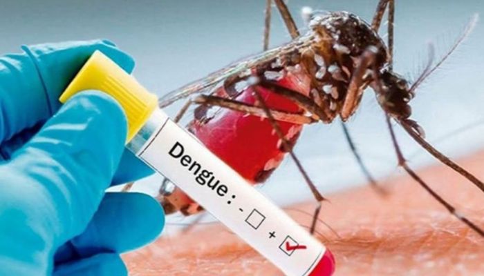 Kanpur में नहीं थम रहा डेंगू का कहर, स्वास्थ्य विभाग के सारे दावे हो रहे फेल, बढ़ती जा रही संक्रमितों की संख्या