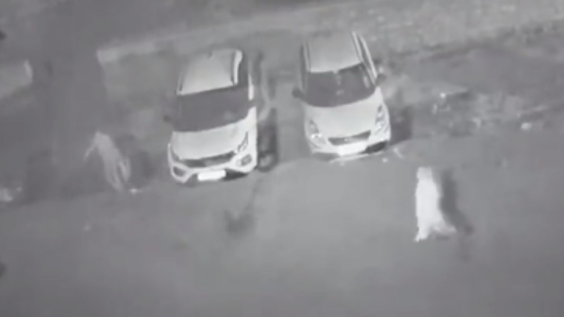 Video: दिल्ली में श्रद्धा मर्डर जैसी एक और वारदात, फ्रिज में काट के रखा शव...रोज फेंका एक टुकड़ा, मां-बेटा गिरफ्तार