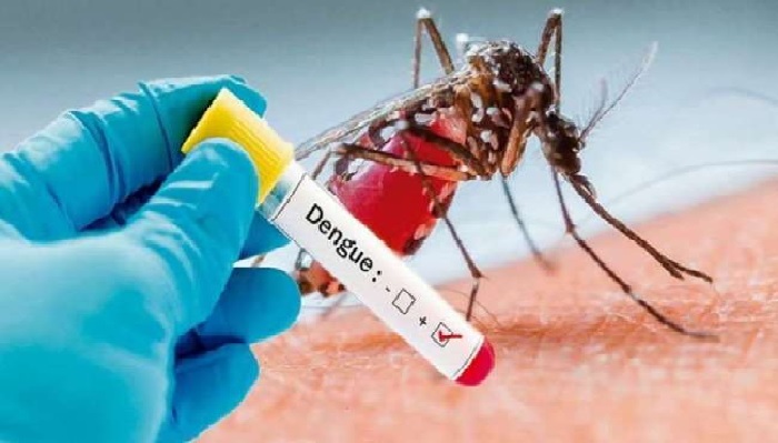 लखनऊ : मध्य कमान कैंटोनमेंट एरिया में बढ़े डेंगू-बुखार के मरीज
