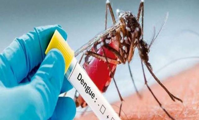 बरेली: डेंगू का आंकड़ा 450 के करीब, कागजों में संचारी रोग अभियान
