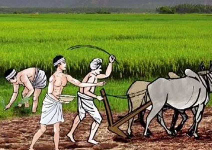 उन्नाव: किसानों के लिये राहत की खबर, जिले में खाद की किल्लत होगी दूर