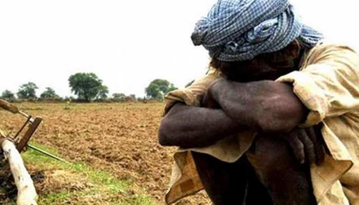 बरेली: फसलों पर पड़ रही मौसम की मार, बढ़ी किसानों की चिंता