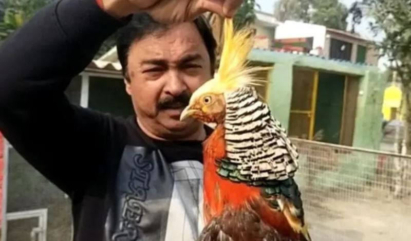 शाहजहांपुर में एक पक्षी प्रेमी ने बसा रखा है देशी-विदेशी चिड़ियों का संसार 