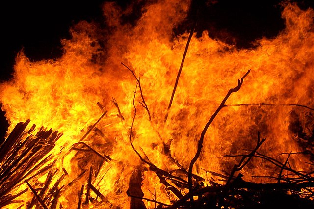 रामनगर: छप्पर में आग लगने से भैंस जलकर मरी, एक झुलसी