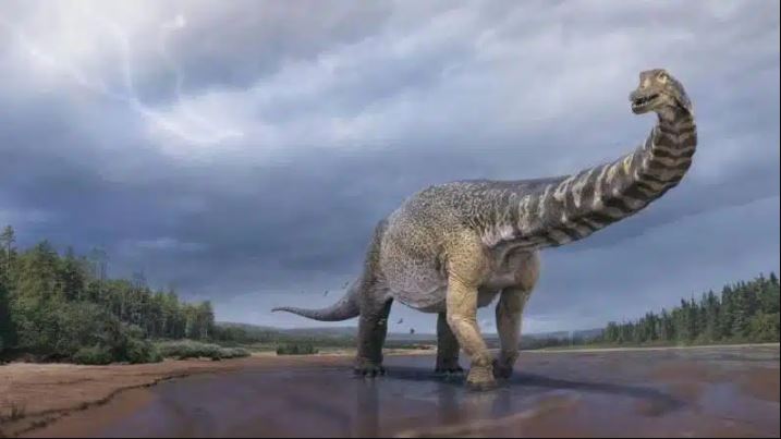 कनाडा में मिले जीवाश्मों से पता चल सकती है डायनासोर के विकास के बारे में नई जानकारी 