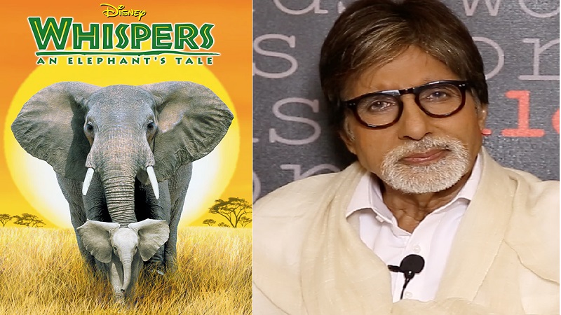 The Elephant Whisperers का  ट्रेलर देख  Amitabh Bachchan हुए इंप्रेस, Oscar 2023 के लिए किया सपोर्ट 