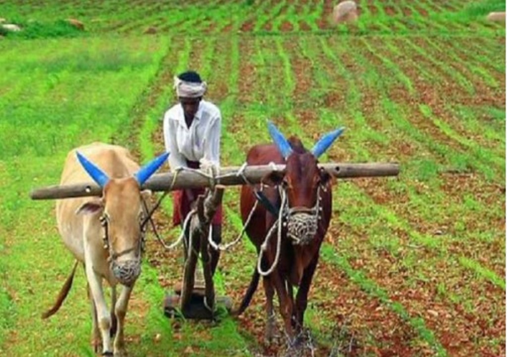 तमिलनाडु ने जैविक कृषि नीति पेश की, रसायन मुक्त खेती को बढ़ावा देने पर जोर 