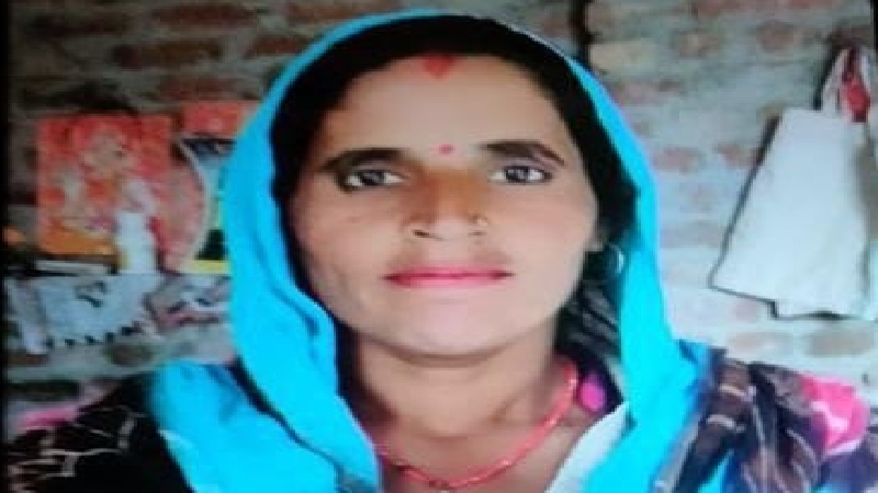 बिजनौर : गुलदार के हमले से महिला की मौत, वन विभाग ने खेत में लगाया पिंजरा