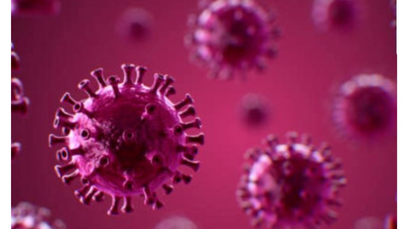 रुद्रपुरः H3N2 VIRUS को लेकर स्वास्थ्य विभाग अलर्ट, अस्पतालों में बेड़ों की संख्या बढ़ी 