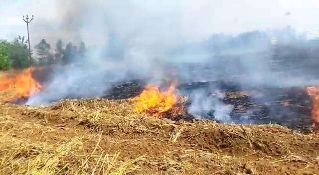 बरेली: रंजिशन गेहूं की खड़ी फसल में लगाई आग, लाखों का नुकसान