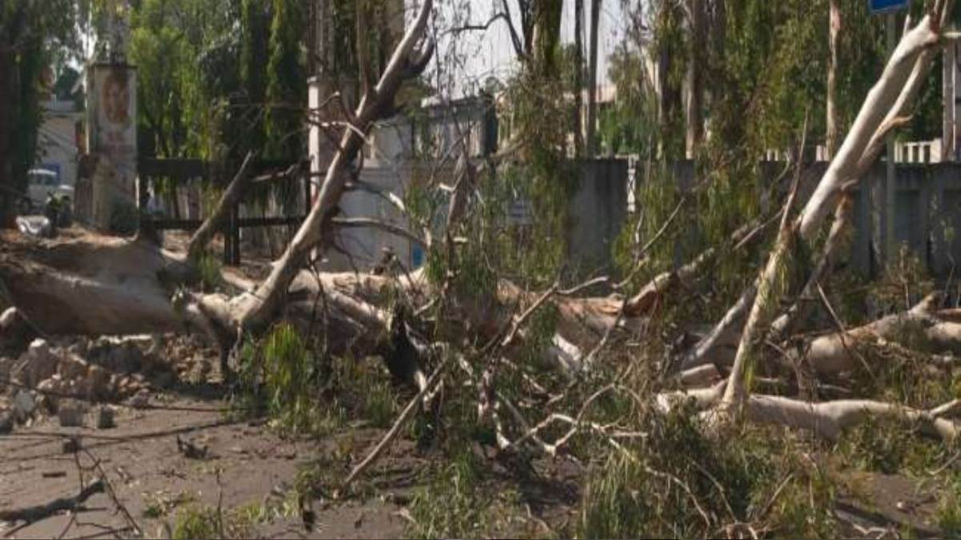 जम्मू कश्मीर: तेज आंधी-तूफान से गिरा पेड़, एक ही परिवार के चार लोगों की हुई मौत
