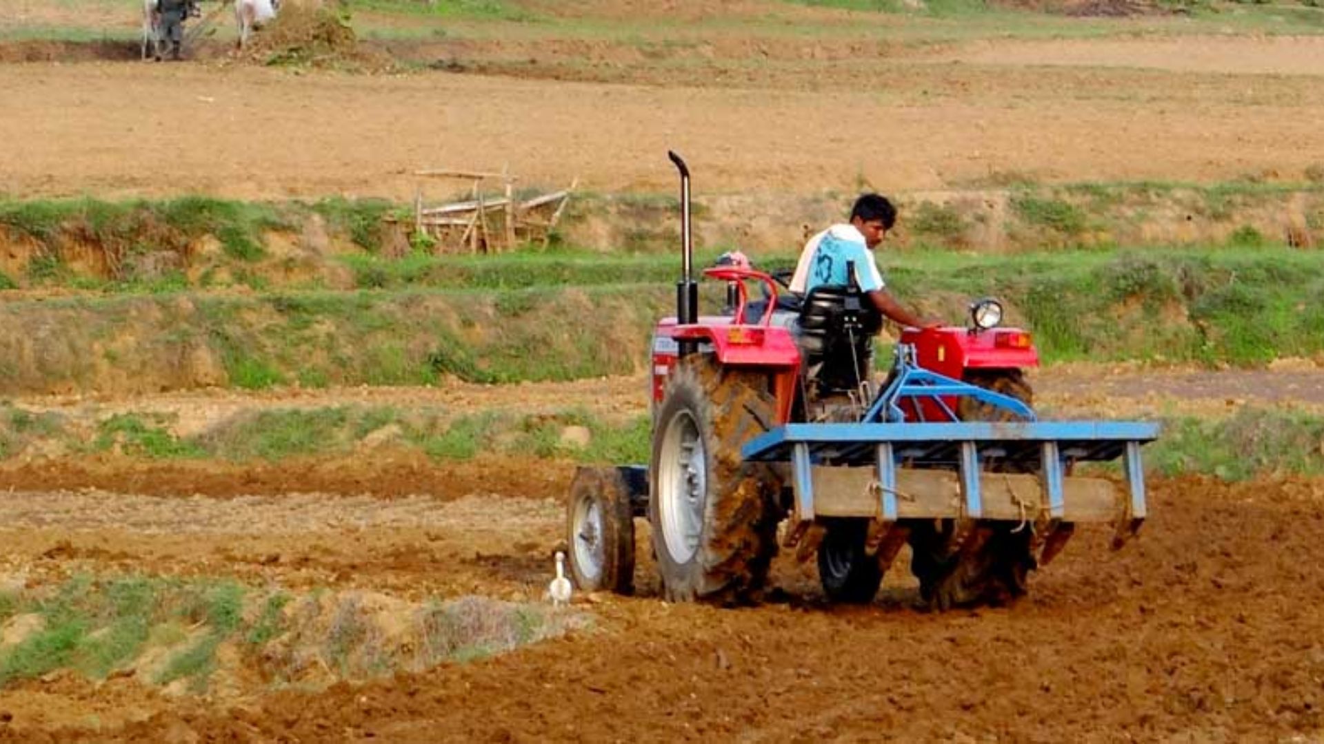 बरेली: किसानों की उन्नत खेती पर मिलेगी छूट, आय भी दोगुना होगी