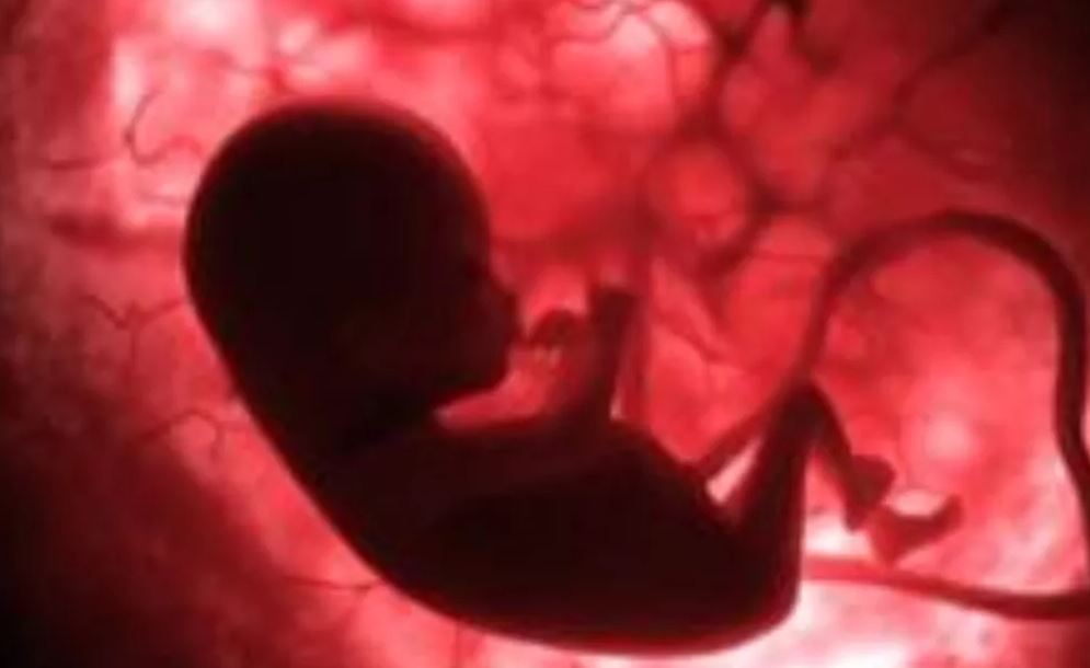 बरेली: गर्भवती के पेट में मारी लात, गर्भ में पल रहे बच्चे की मौत