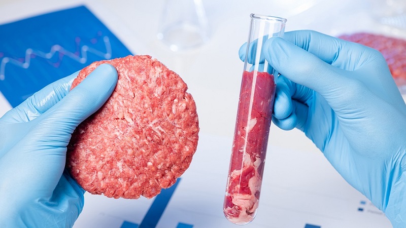 प्रयोगशाला में बने मांस को क्यों करना पड़ रहा है चुनौतियों का सामना? जानें आठ अहम सवाल