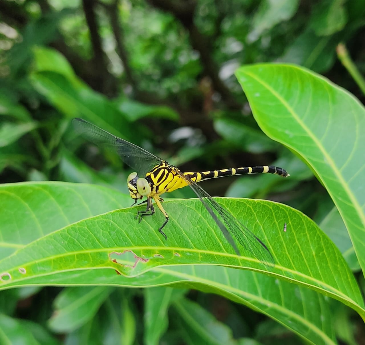 WhatsApp Image 2023-08-19 at 16.29.41