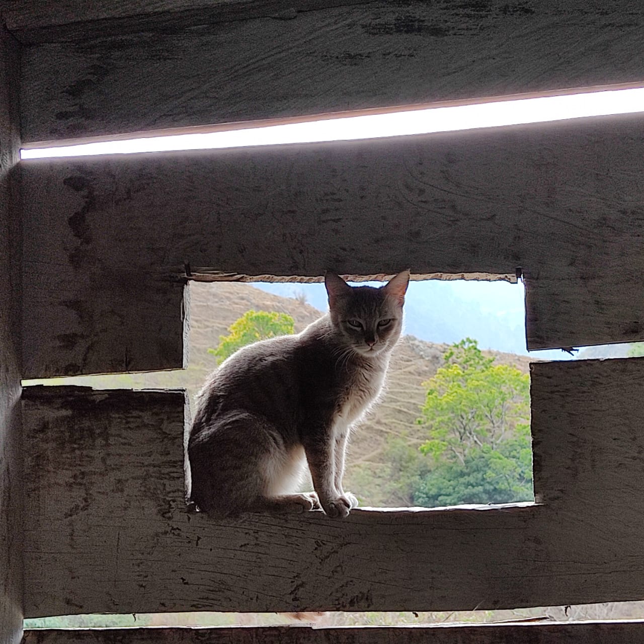 WhatsApp Image 2023-08-19 at 16.29.42