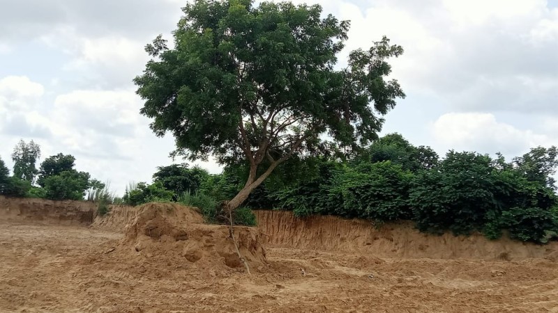 WhatsApp Image 2023-09-25 at 6.32.06 PM