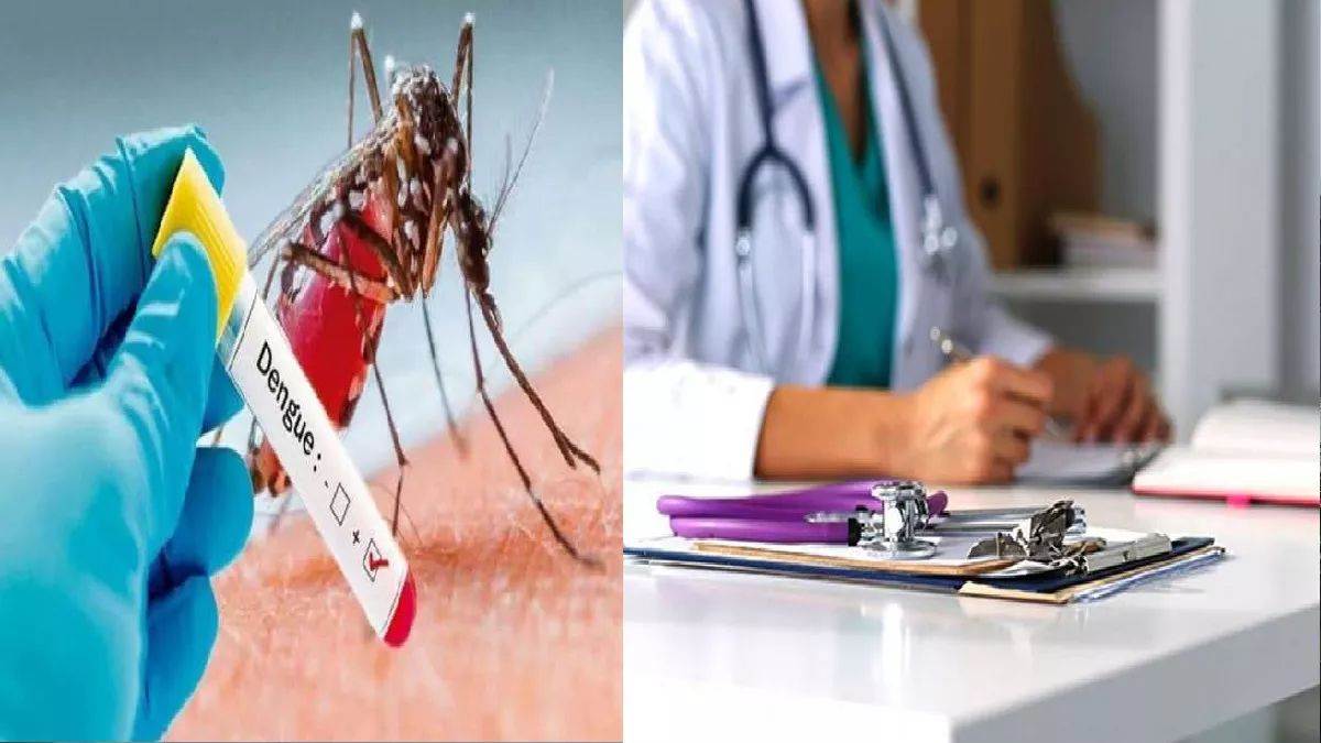 बरेली: शहर में डेंगू का प्रकोप, 14 नए मरीजों के साथ आंकड़ा पहुंचा 738
