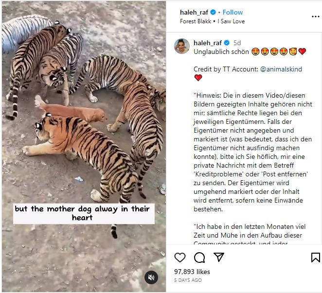 WhatsApp Image 2023-10-27 at 6.57.50 PM