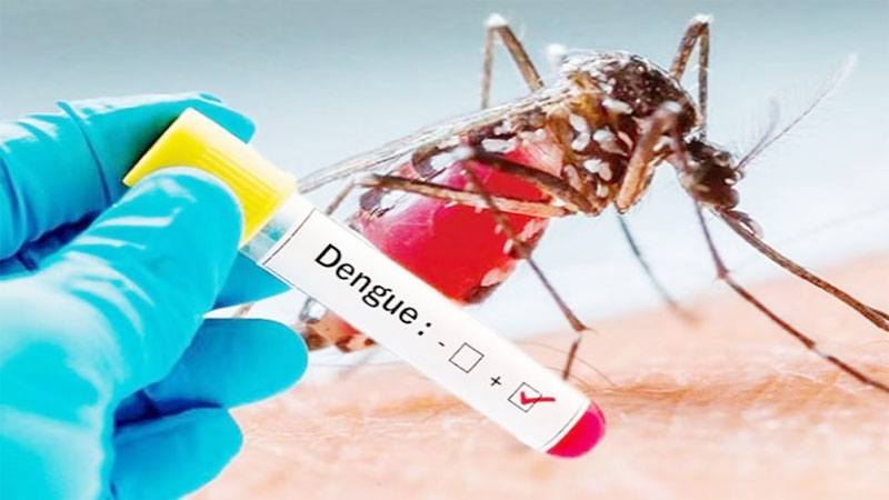 लखनऊ: राजधानी में 24 घंटे में डेंगू के मिले 34 मरीज, स्वास्थ्य विभाग ने तीन घरों को थमाया नोटिस