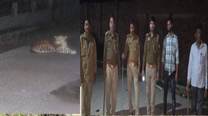 बदायूं: सलारपुर के औद्योगिक क्षेत्र में दिखा तेंदुआ, वन विभाग ने किया सतर्क