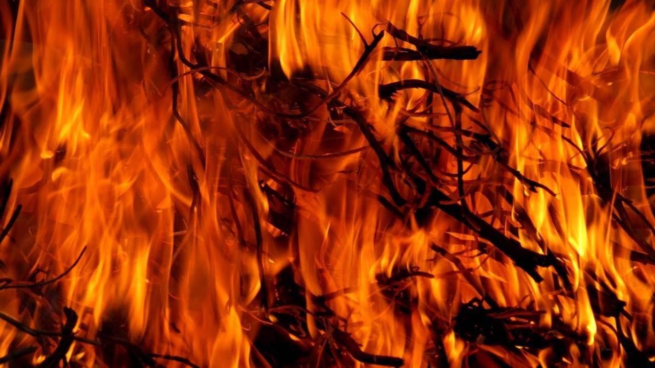 हल्द्वानी: लीसा फैक्ट्री में लगी आग, करोड़ों के नुकसान का अनुमान
