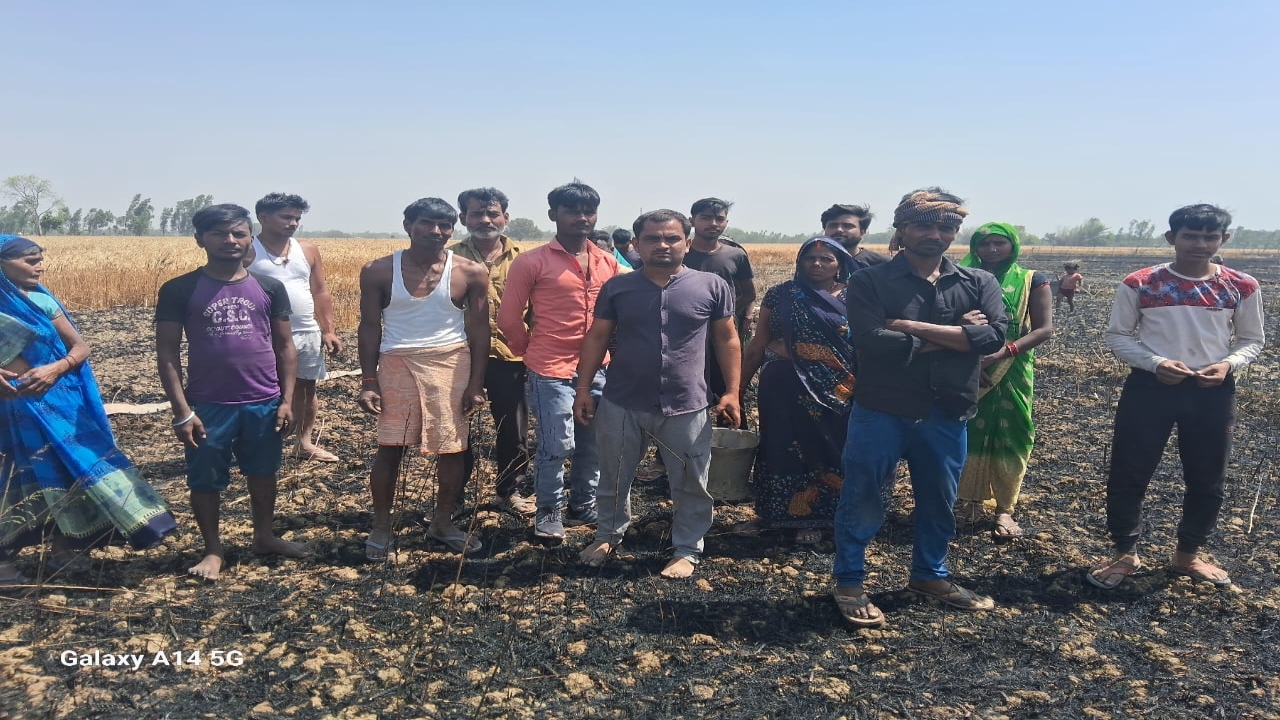 बहराइच: किसानों की मेहनत पर आग ने फेरा पानी,150 बीघा गेहूं की फसल राख