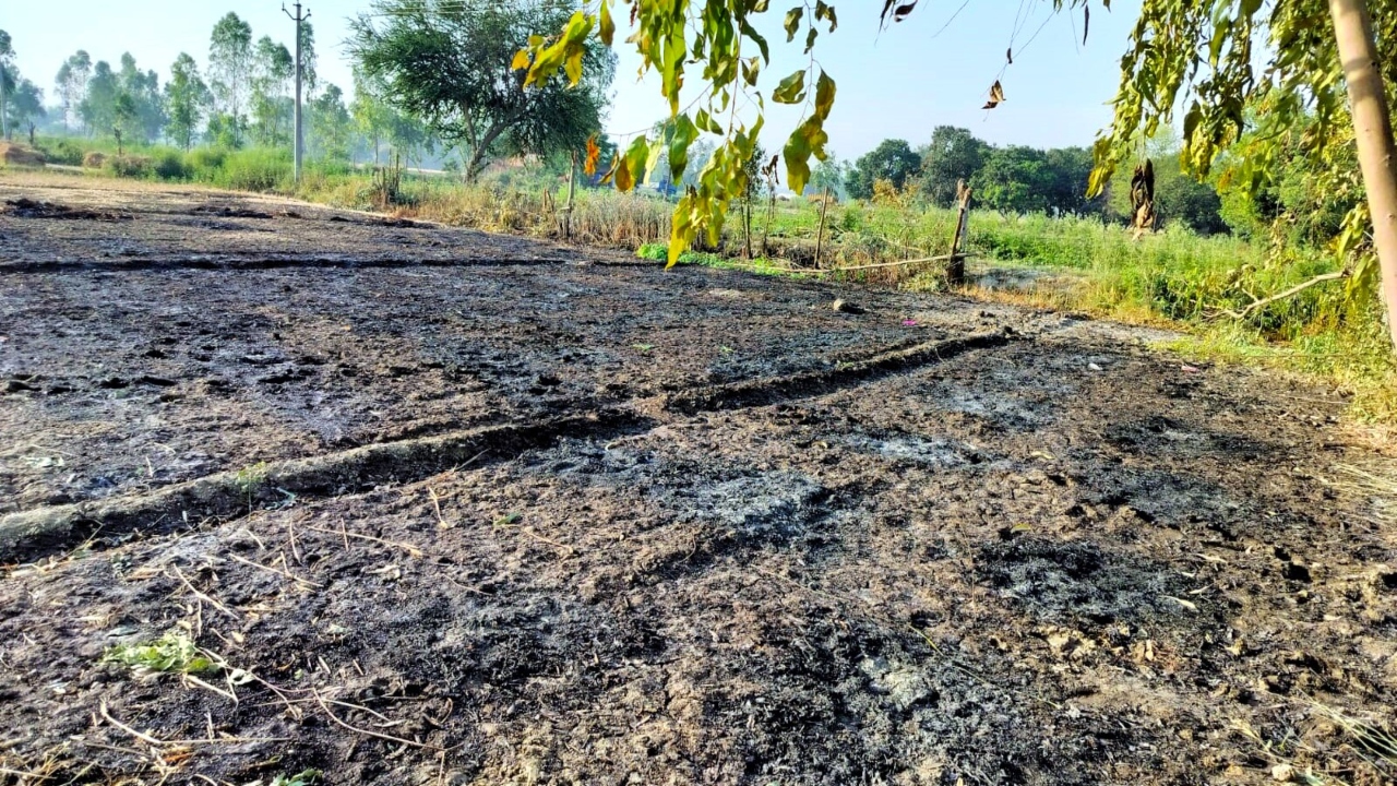 बाराबंकी: एचटी लाइन की चिंगारी से जली गेहूं की फसल, किसानों में आक्रोश