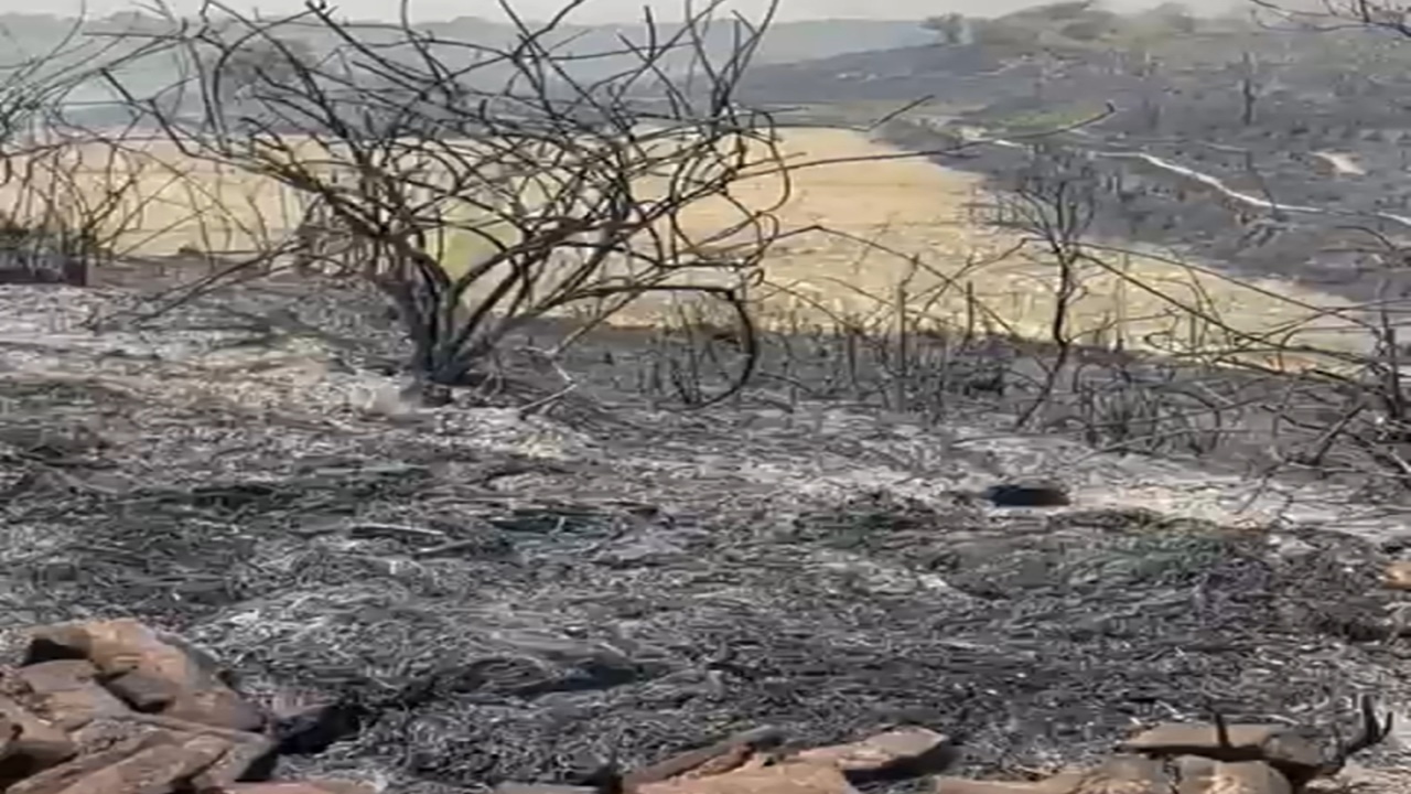 सुलतानपुर: खारा के जंगल में लगी आग, काफी नुकसान, साधु की कुटिया भी जली 