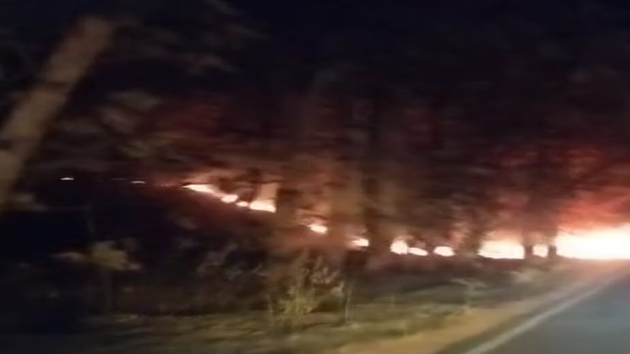 बहराइच: कतर्नियाघाट जंगल में लगी आग फैली, वन अधिकारी मस्त