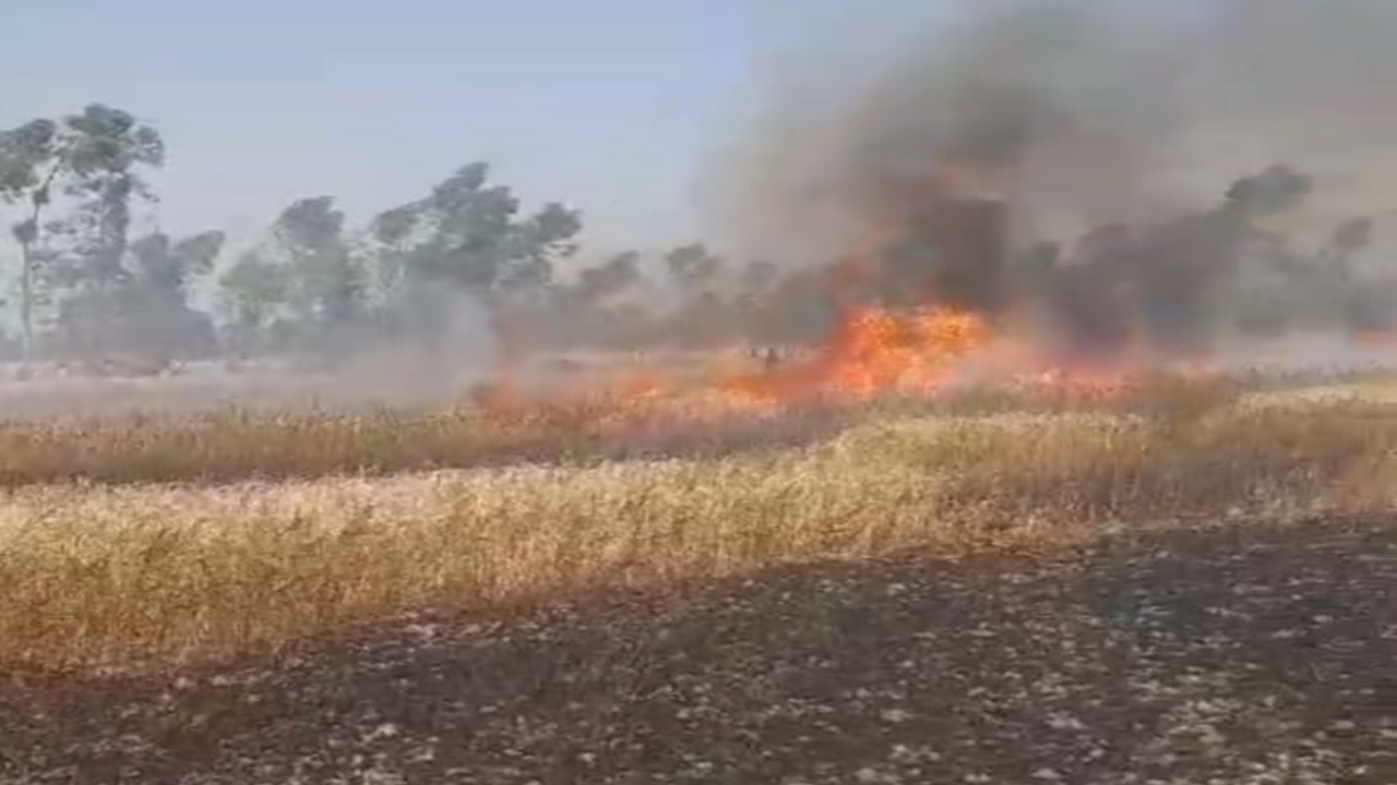 अयोध्या: अज्ञात कारणों से लगी में आग 20 बीघा गेहूं की फसल जलकर राख