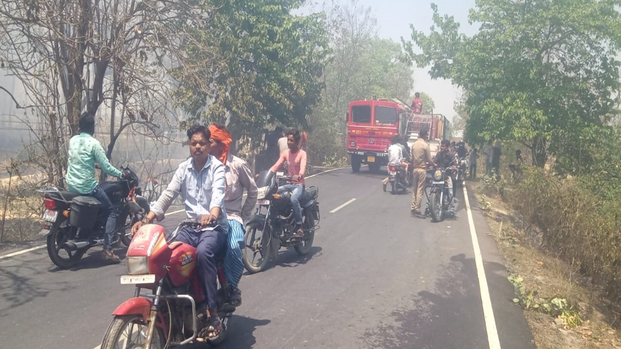 गोंडा: सुंदर घाट जंगल में लगी आग, 40 बीघे में लगे बेशकीमती पेड़‌ जलकर राख