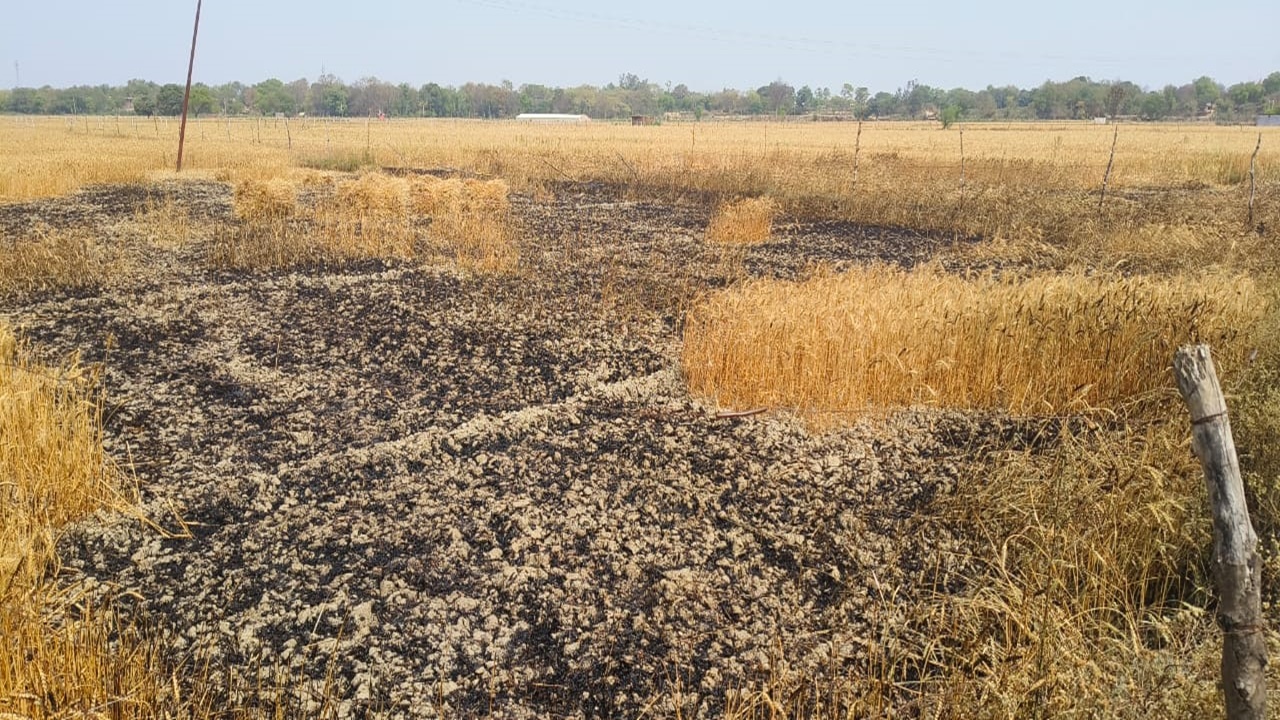 सुलतानपुर: शार्ट सर्किट से लगी आग, दो बीघा गेहूं की फसल जलकर हुई राख