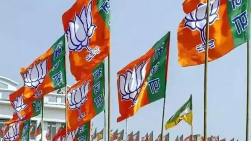 चिराग की मां के लिए अपशब्दों के इस्तेमाल पर भड़की भाजपा, कहा- इस मामले पर संज्ञान ले चुनाव आयोग 