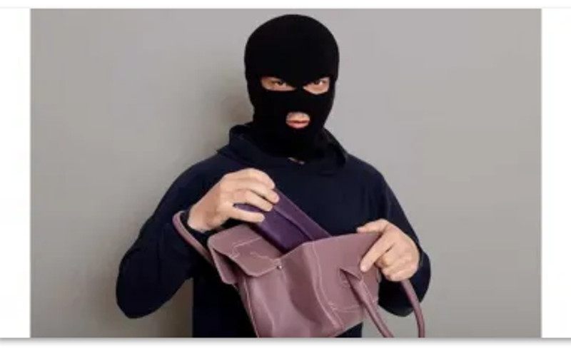 हल्द्वानी: बाजार में चोरी हुआ पर्स,  मित्र पुलिस ने महिला को यहां से वहां दौड़ाया