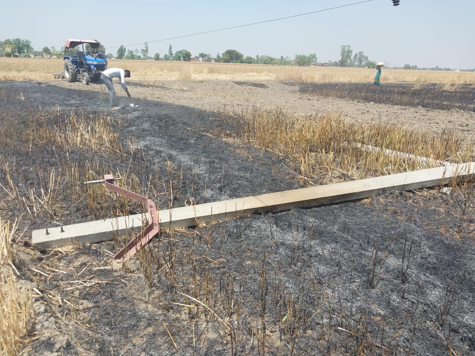 पीलीभीत: कंबाइन की टक्कर से खेत में गिरा पोल, तीन एकड़ फसल जलकर राख