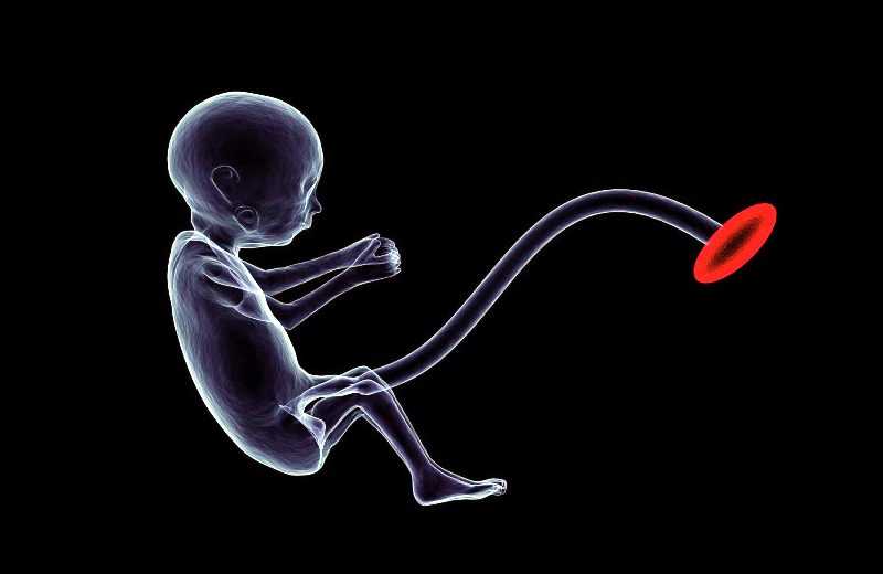 हल्द्वानी: युवती के गर्भ से निकाला मृत भ्रूण, दो माह बाद है शादी