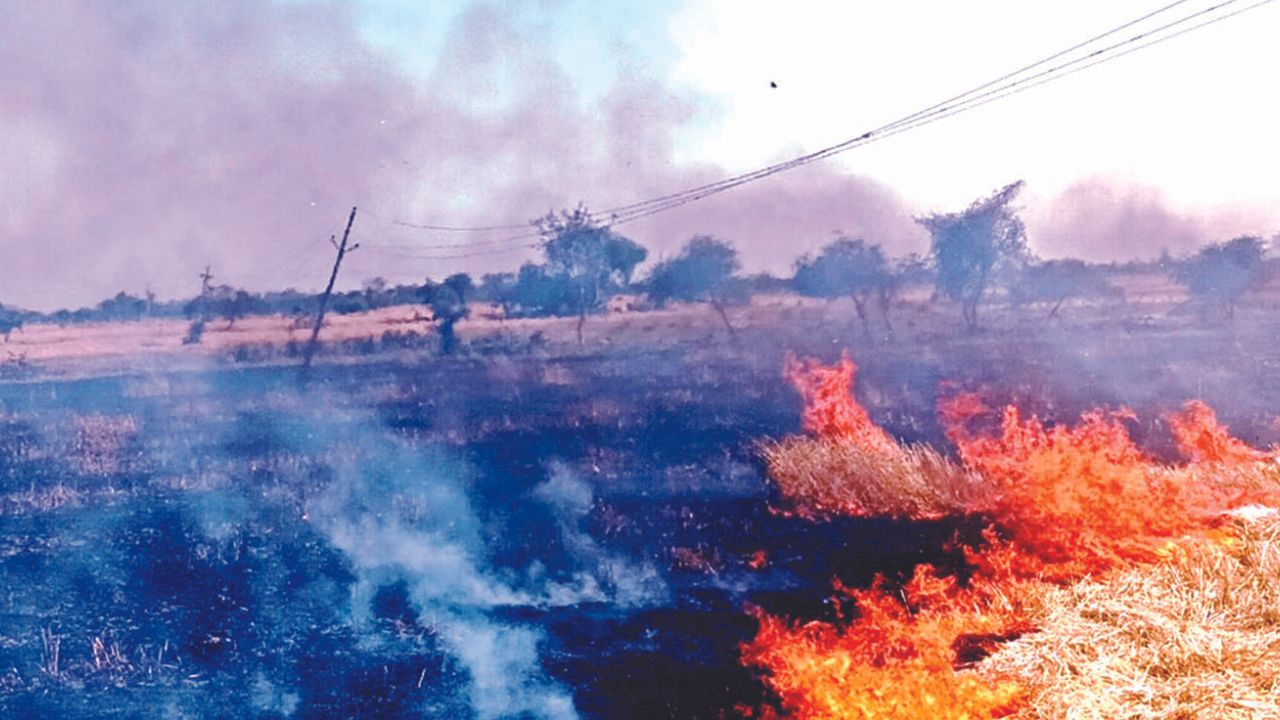 Hamirpur Fire: शार्ट सर्किट से लगी आग...छह बीघे की गेहूं की फसल जलकर खाक