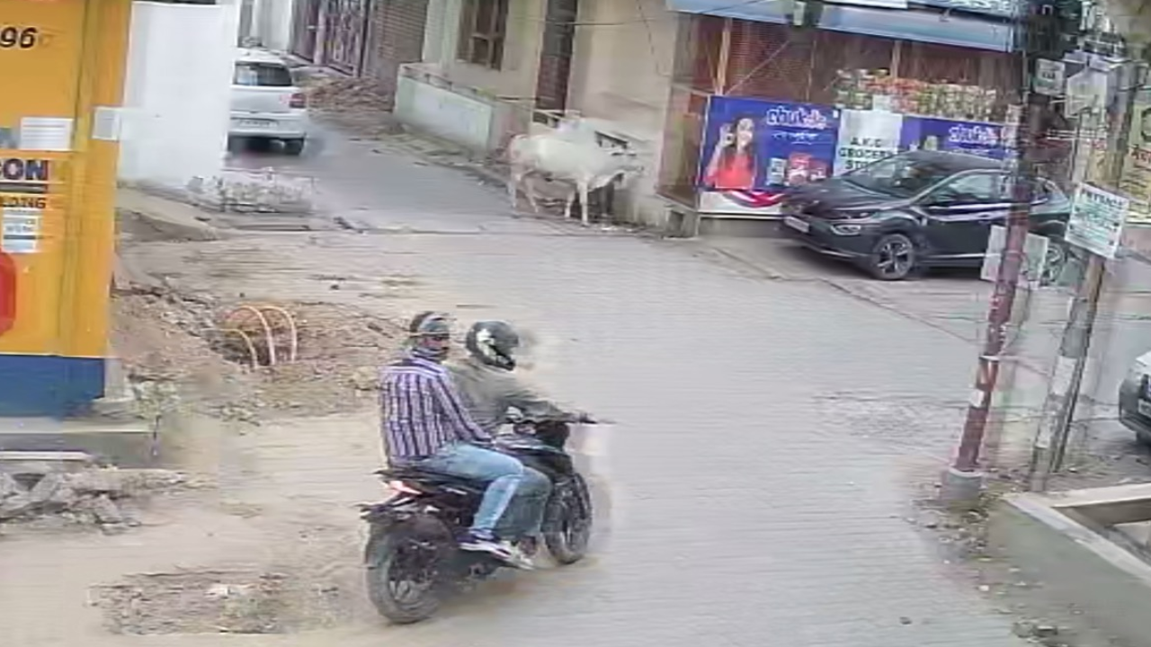 Kanpur Loot: बाइक सवार बदमाशों ने मॉर्निंग वॉक करने निकली रिटायर्ड शिक्षिका से लूटी चेन...वारदात CCTV में कैद
