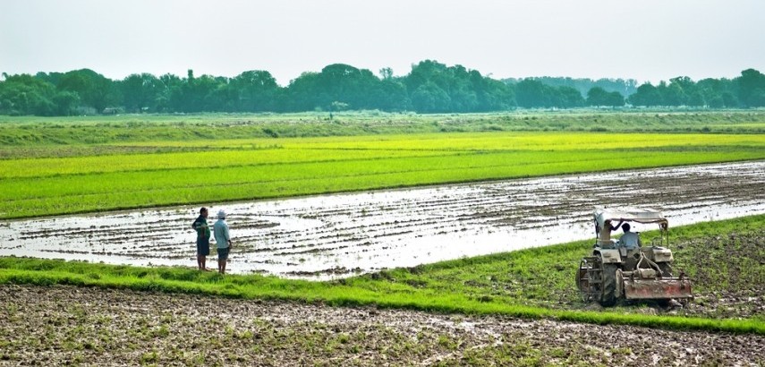 हल्द्वानी: 24 साल में उत्तराखंड से गायब हो गई 2 लाख हेक्टेयर कृषि भूमि