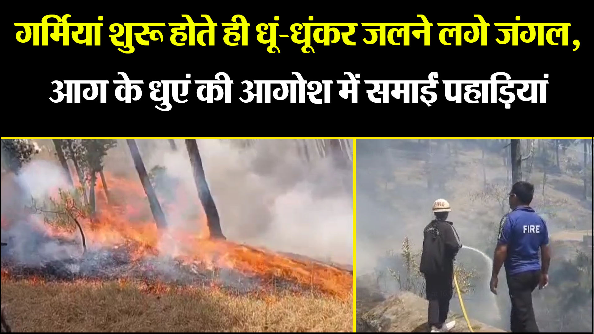अल्मोड़ा: गर्मियां शुरू होते ही धूं-धूंकर जलने लगे जंगल, आग के धुएं की आगोश में समाईं पहाड़ियां