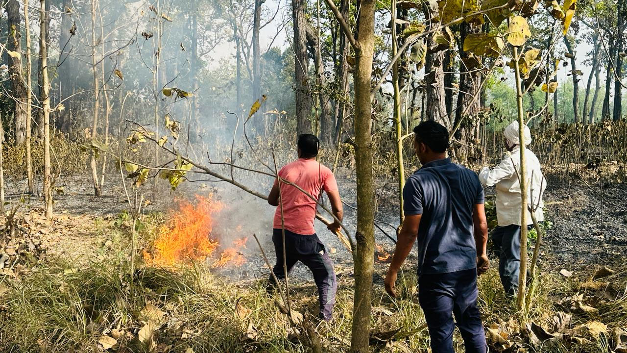 बलरामपुर: अज्ञात कारणों से लगी आग में धू-धू कर जला जंगल, ग्रामीण हुए भयभीत, इस बात का सताया डर!