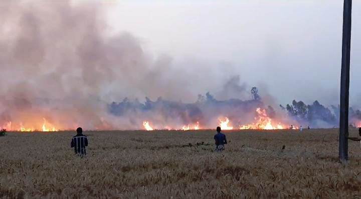 पीलीभीत: दो गांवों के खेतों में लगी आग, 20 बीघे में खड़ी गेहूं की फसल जलकर राख