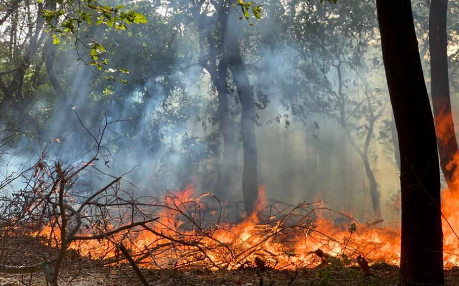 बरेली: रुहेलखंड विश्वविद्यालय परिसर मे लगी आग, मची अफरा-तफरी