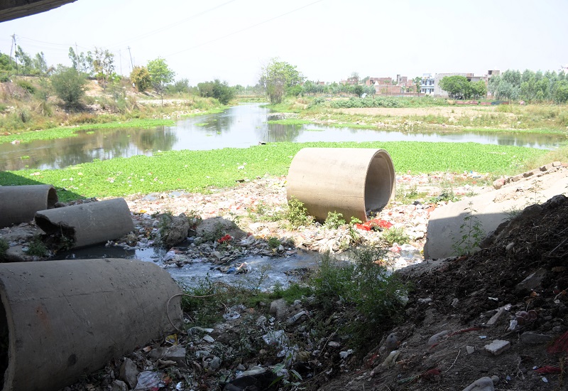 मुरादाबाद : फैक्ट्रियों के जहरीले केमिकल से प्रदूषित हो रही गागन नदी, जिम्मेदार कागजी कार्रवाई से कर रहे खानापूरी