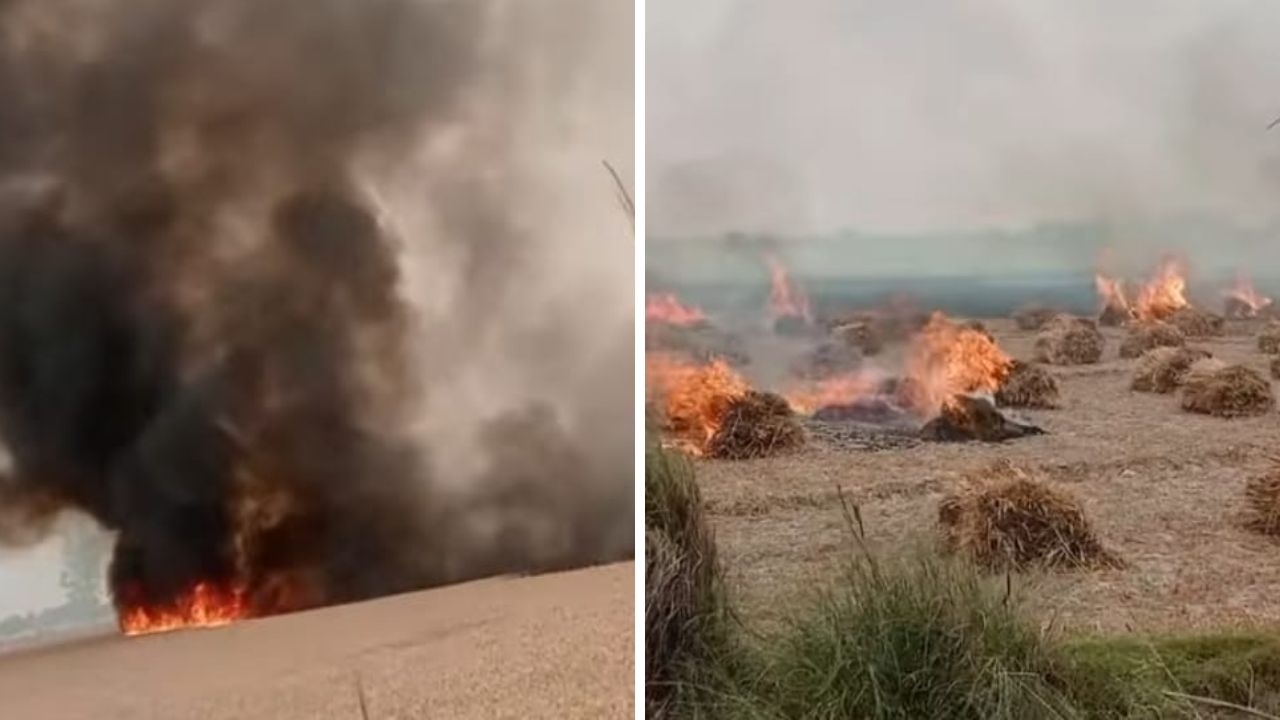 Kannauj: आग ने गेहूं किसानों के अरमानो पर फेरा पानी; 150 बीघा फसल जलकर राख, अधिकारियों ने दिलाया मदद का भरोसा