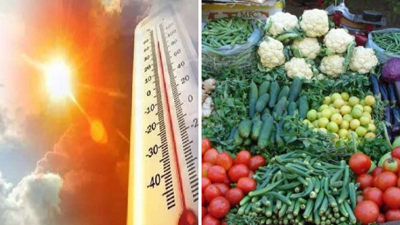 Kanpur: अप्रैल के न्यूनतम तापमान ने तोड़ा 123 साल का रिकॉर्ड; सब्जियों पर दिख रहा भीषण गर्मी का असर 